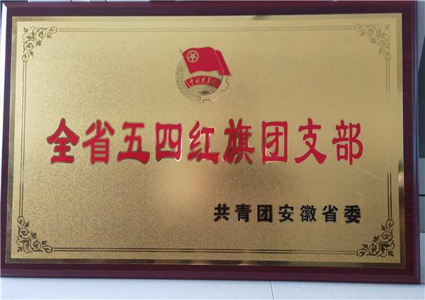热烈祝贺裕安中学团总支荣获省级五四红旗团支部称号